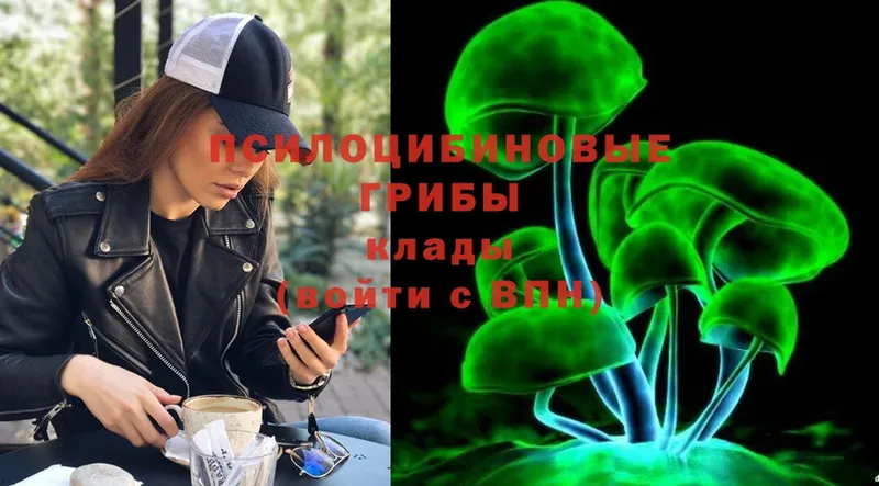 дарнет шоп  Армавир  Галлюциногенные грибы MAGIC MUSHROOMS 